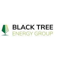 Black Tree Energy Group Logo