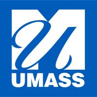 Information Technology Services Logo