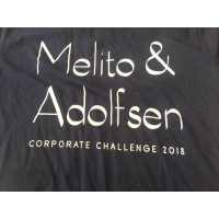Melito & Adolfsen PC Logo