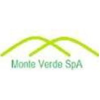 Sulfato Monteverde Logo