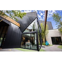 Bodecker Foundation Logo