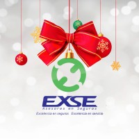 Exse Asesores en Seguros Logo