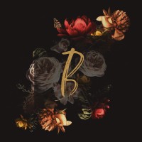 Blooms & Company Logo