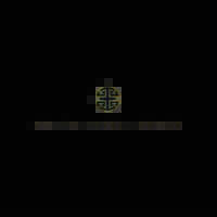 Digital Intelligence Logo
