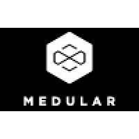 Medular Diseño Logo