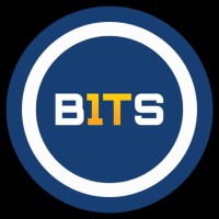 Brindle IT Solutions Logo