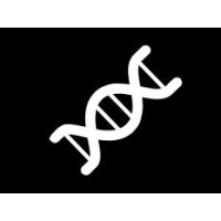 Evolved Agents Logo