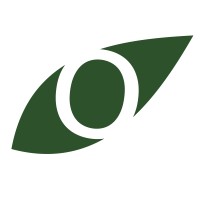 Olimpo Desarrollos Logo