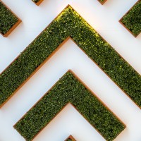 OnRamp Risk LLC Logo