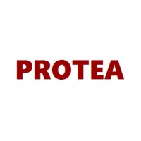 PROTEA | success navigation for nonprofits Logo