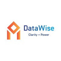 DataWise, Inc. Logo