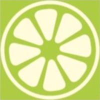 Lime Yellow - Wegwijs in ICT Logo