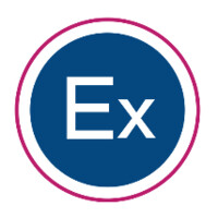 ExCEL Youth Mentoring Institute Logo