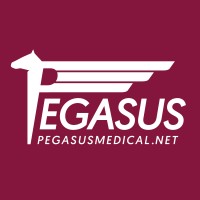 Pegasus Medical Concepts Logo