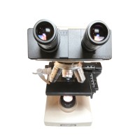 American Society of Dermatopathology (ASDP) Logo