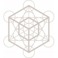 Limitless Ventures Logo