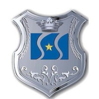 Shinestar Steel Group CO.,LTD Logo