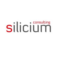 Silicium Consulting Kft. Logo