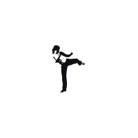 SheFighter Logo