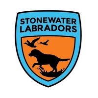 Stonewater Labradors Logo