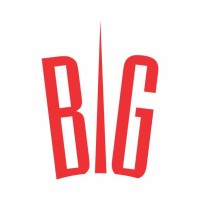 BigImpex Logo