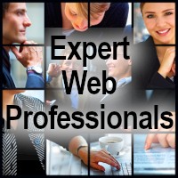 Expert Web Professionals Logo