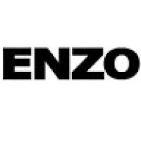 ENZO Logo