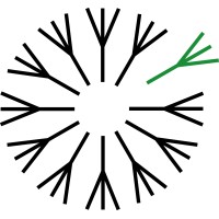 The Spring Company Logo