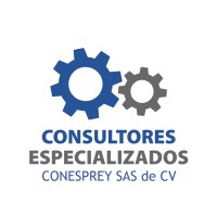 Consultores Especializados en Reynosa Logo
