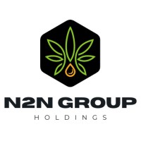 N2N Group Holdings, LLC Logo