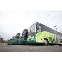 Wolfs Bus Lines Logo