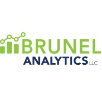 Brunel Analytics LLC Logo