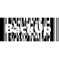 BackUp BarCode Systems, Inc. Logo