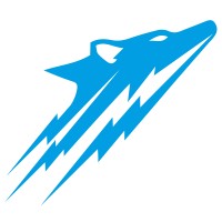 WOLF-e Logo