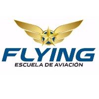 Escuela de Aviacion Flying Logo
