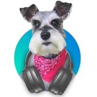 Speakerbox Media Logo