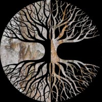 SYMMYTREE Logo