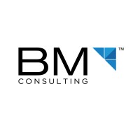 BM Consulting Pvt Ltd Logo