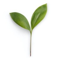 The Smart Benefit by Yr Plans Logo