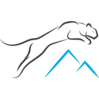 Mountain Lion Aviation Logo
