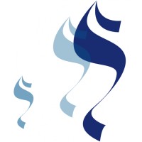 Synergies & Co Logo