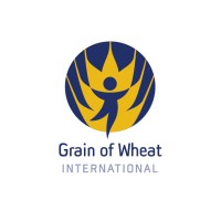 Grain of Wheat International Logo