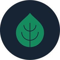 New Leaf | Branding & Design Logo