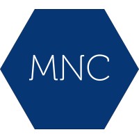 Michael Nestrud Consulting Logo