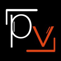Pro-Views Logo