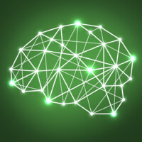 IBND - Instituto Brasileiro de Neurodesenvolvimento Logo