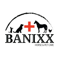 Banixx Logo