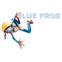 Blue Frog Construction Logo