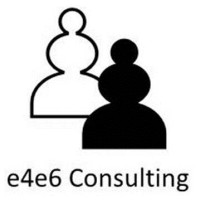 e4e6 Consulting Logo