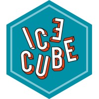 ICE Cube Thomas More Logo